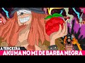 REVELADA A TERCEIRA AKUMA NO MI DE BARBA NEGRA?A LUTA DE SHANKS VS BARBA NEGRA EM ELBAPH