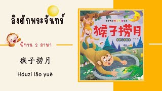 ลิงตักพระจันทร์ | นิทานไทย จีน | 猴子捞月亮（Hóuzi lāo yuè）