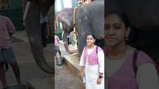 Manakula vinayagar temple beauty elephant Lakshmi