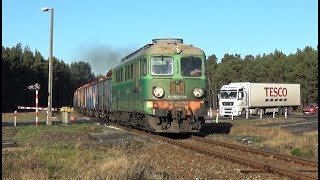 [PKP Cargo] ST43-355 | Nowogród Bobrzański