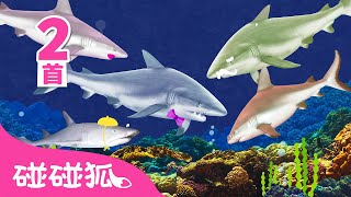 [中·英双语版] 真实版鲨鱼宝宝 嘟噜噜嘟噜｜1+1｜Baby Shark Doo Doo 中文版｜鲨鱼宝宝人气儿歌｜中文儿歌｜碰碰狐Pinkfong