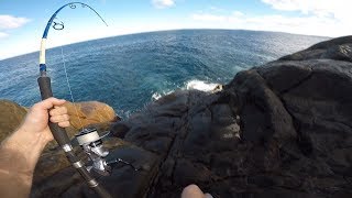 Catching Monster Blue Groper while Rock Fishing