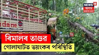 Golaghat News : পথৰ কাষৰ গছ উভালি পৰি গোলাঘাটত হাহাকাৰ অৱস্থা | N18V