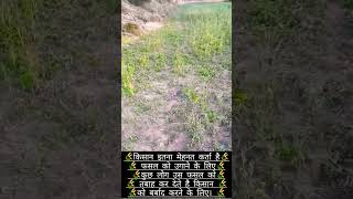 kisan ko barbad kar deta2🌾🌾 #kisan #viralvideo #youtubeshorts