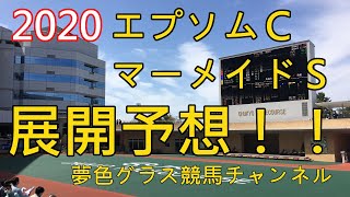 【展開予想】2020エプソムカップ\u0026マーメイドステークス！どちらも道悪残りそうだが逃げ馬もいてタフに？