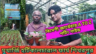 বিদেশী জার্বেরার A TO Z পটিং গাইড|High quality Tissue culture Gerbera|মুখার্জি হর্টিকালচারাল ফার্ম