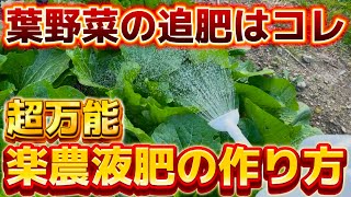 【楽農液肥】葉物野菜の追肥はコレ！超万能オリジナル楽農液肥の作り方