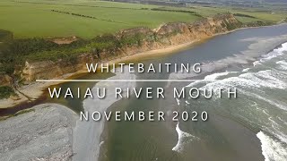 Whitebaiting the Waiau River (Southland) - November 2020 (037)