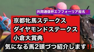 サイン馬券講座～京都牝馬ステークス　ダイヤモンドステークス　小倉大賞典　気になる馬2頭づつ紹介します‼️