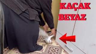 Annem Kaçak Beyaz Güvercin Yakaladı ( Benden Kaçmaz Oğlum )