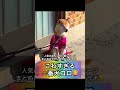 こわすぎる番犬🐕 あなたならどうしますか？😂 shorts 柴犬 怖い やばい おもしろ かわいい 犬 dog