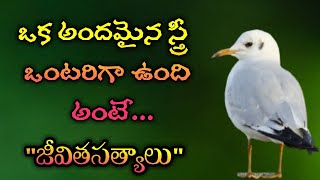 జీవిత సత్యాలు #256 |మంచి మాటలు|Inspirational quotes|Motivational quotes|సూక్తులు|Telugu quotes