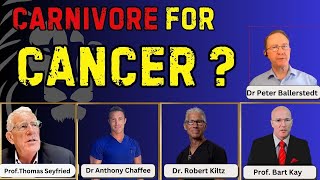 Don't fear fat on Carnivore diet with Seyfried, Ballerstedt, Chaffee, Kay, and Kiltz