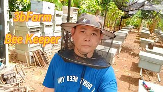 Bee Keeping in Cambodia | Sharing my 6 years experience here| This Hive going to swarm Soon