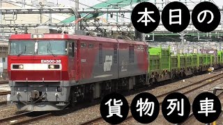 【本日の貨物列車】No.358　2021,7,10　第2090番列車　Today‘s freight train　DOWA号！