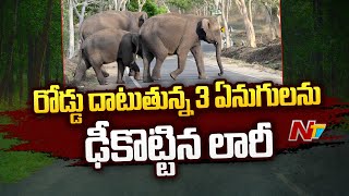 చిత్తూరు జిల్లా పలమనేరు లో రోడ్డు ప్రమాదం | Ntv