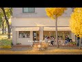 𝘼𝙪𝙩𝙪𝙢𝙣 𝙑𝙞𝙗𝙚𝙨🍁 Chill Korean Cafe Playlist to Make Your Day, Relaxing K-POP Music to Study, Work