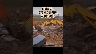 #construction #excavator #굴삭기 #굴삭기정비 #포크레인 #볼보굴착기 #excavators #대구 #팔공산 #돌쌓기