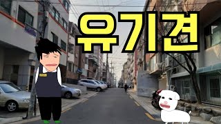 [고경태 시즌1]유기견