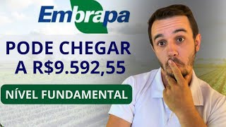 CONCURSO EMBRAPA 2024 - O QUE FAZ e QUANTO GANHA? - Remuneração Detalhada