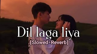 Dil Laga Liya maine | Slowed + Reverb | Lion Lofi