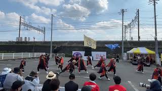 朝霞なるこ人魚姫・宮戸青嵐　第41回彩夏祭　本祭1日目　超暑いぜ！！関八連劇場