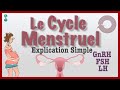 Cycle Menstruel - TOUT Savoir du Système Reproductif de la FEMME : explication simple, GnRH, FSH,LH