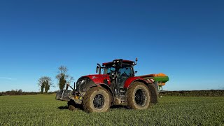 IS IT TOO EARLY? BEAN GROUND PLOUGHED