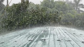 Sleep Easily with Terrible Rain and Heavy Thunderstorm on Tin Roof - Rain Sounds for Sleeping