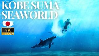 Japan Kobe Suma Seaworld |ORCA Killer Whale Show | Dolphin Show Aquarium 4K UHD Walking Tour 須磨海洋世界￼