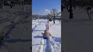 🌨️눈이 와서 신나게 눈놀이☃️