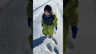 雪の畦道を歩くだけの動画# #2歳 #2yearsold #baby #boy #遊び #japanese #外遊び #自然 #snow #nature #雪