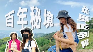 #阿母碎念遊｜新北三峽秘境｜百年熊空茶園｜森林咖啡館