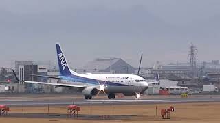 2023年2月23日_松山空港_ANA_JA78AN_B737_Takeoff