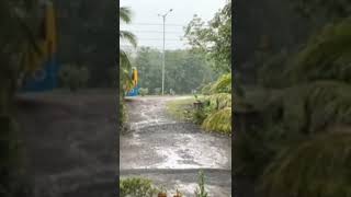 mashaallah 🤲.. കനത്ത മഴയത്തും നമ്മുടെ ചങ്ക് ആയ ശിഹാബ്ക്ക നടക്കുന്നു... മഹാരാഷ്ട്രയിൽ നിന്നും... 🙏🙏