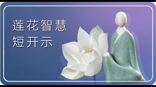 天下没有坏人只有可怜人KS20200722（宽恕）（苦谛）（出离心）