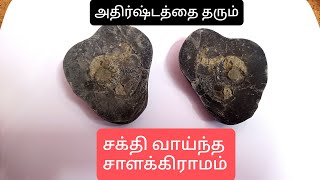 🔴வாழ்வில் அதிர்ஷ்டத்தை அள்ளி தரும் \