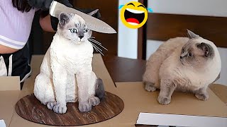 Funny Animals 2023 || New Videos Funniest Cats and Dogs 😺🐶 Part 13