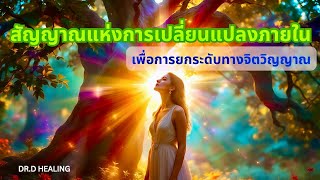 6 สัญญาณของการเปลี่ยนแปลงภายใน ที่เป็นนัยยะของการยกระดับทางจิตวิญญาณ