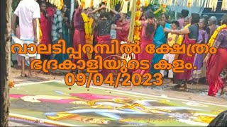 Bhadhrakali Kalam, ഭദ്രകാളി ദേവിയുടെ കളം എഴുത്തും പാട്ടും.വാലടിപ്പറമ്പ് കുടുംബക്ഷേത്രം.2023, Kerala.