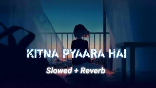 Kitna Pyaara Hai Ye Chehra Lofi Remix Song | Kitna Pyaara Hai Lofi Song | Lofi Song New Lofi Song