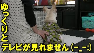 おかあしゃ～ん！おかあしゃ～ん！Mom！Mom！