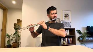 Last Of Us Theme - Flute Cover