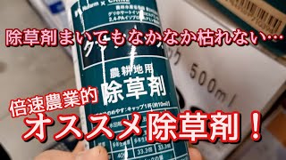 【除草剤選び】「安く」て「はやぎき」の農地用除草剤は珍しい！