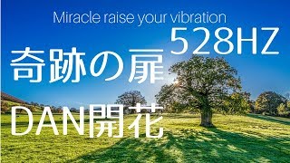 【528HZ】 奇跡の扉瞑想、DNA開花（1時間）Miracle Raise your vibration 528hz