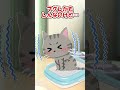 【2ch】知り合いの猫を3日間あずかった。【アニマル】 shorts