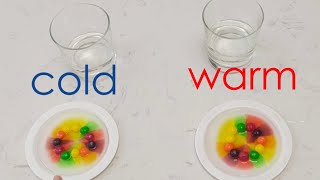 Spring Skittles Color Experiment: Fun Science for Preschoolers Exploring Dissolving in Warm vs. Cold