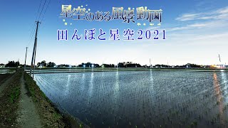 田んぼと星空2021