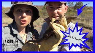 Herping in the Australian Outback