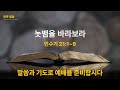 삼양신성교회 새벽기도회 24.12.03 예배실황